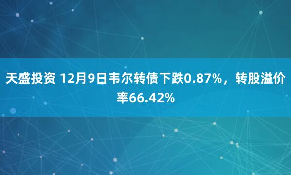 天盛投资 12月9日韦尔转债下跌0.87%，转股溢价率66.42%